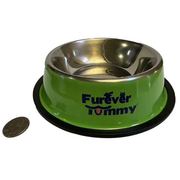 Furever Tummy Stainless Steel Cat Food Food Water Bowl Green