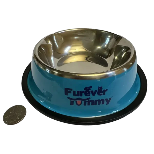 Furever Tummy Stainless Steel Cat Food Water Bowl Blue