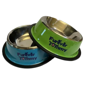 Furever Tummy Stainless Steel Cat Food Water Bowl Blue and Green Set of 2