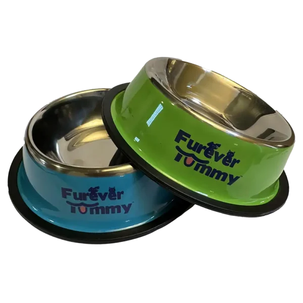 Furever Tummy Stainless Steel Cat Food Water Bowl Blue and Green Set of 2