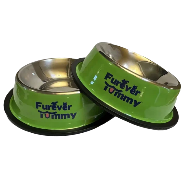 Furever Tummy Stainless Steel Cat Food Water Bowl Green Set of 2