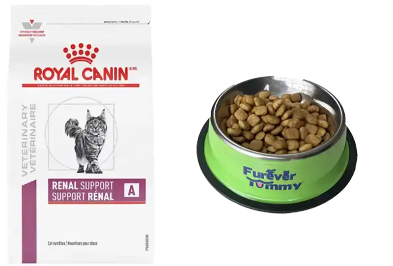 Furever Tummy Cat Food Bowl with Royal Canin Renal Support Cat Food