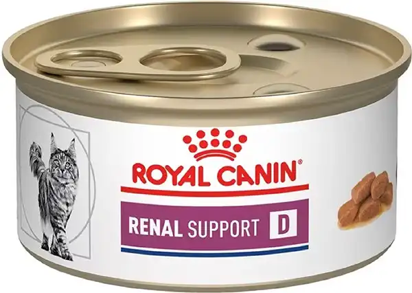 Royal Canin Wet Cat Food for Renal Support
