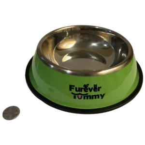 Furever Tummy Stainless Steel Dog Food Food Water Bowl Green