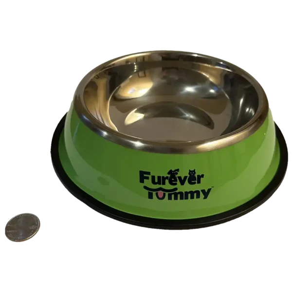 Furever Tummy Stainless Steel Dog Food Food Water Bowl Green