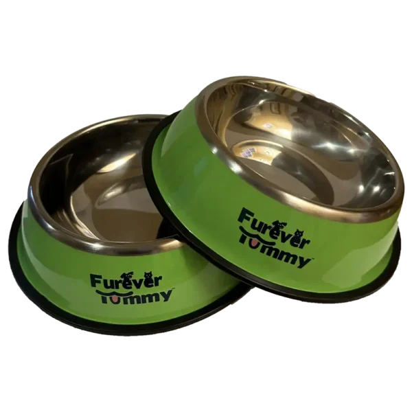 Furever Tummy Stainless Steel Dog Food Water Bowl Green Set of 2